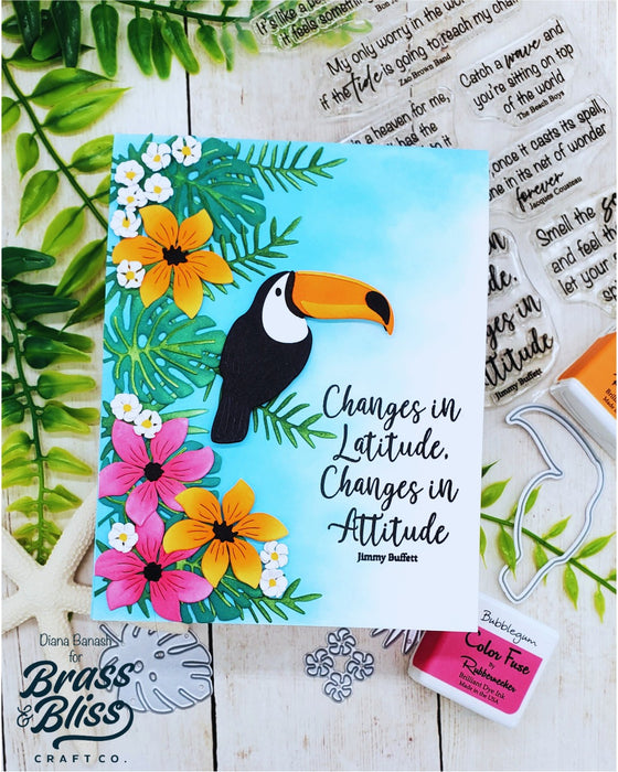 Troqueles de corte de metal y  - Summer Clothing Release reseña y precio