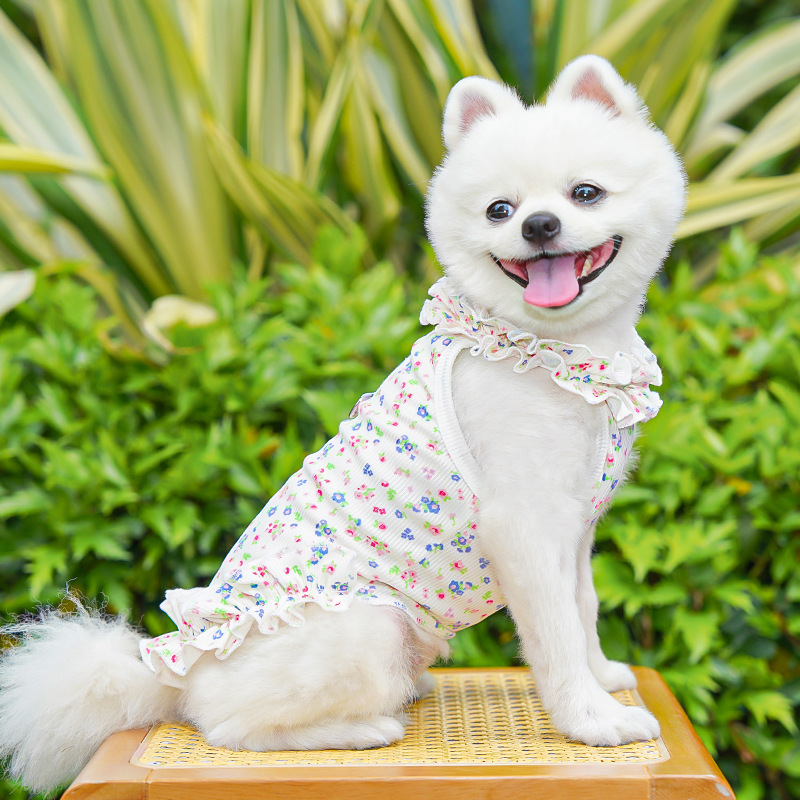 Vestido Floral de Moda para Pe - Summer Loving Clothing reseña y precio